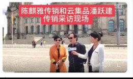 爆料访谈视频,爆料视频背后的惊人真相